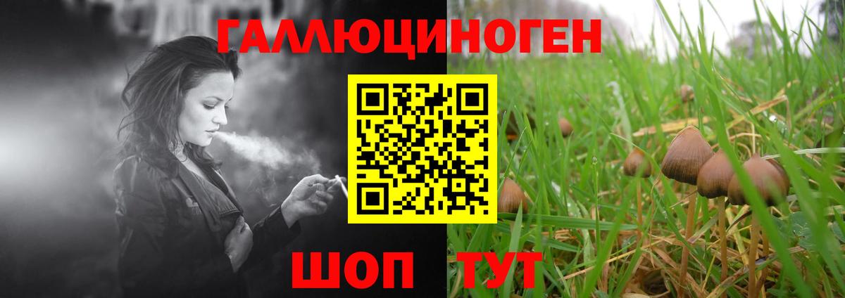 Галлюциногенные грибы прущие грибы  Вход с VPN  Мончегорск 